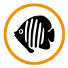 Fische