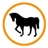 Pferde