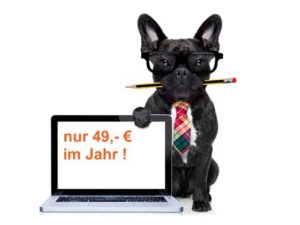 Tierarzt Listen Alles Tiere
