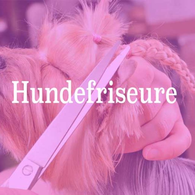 Hundefriseure