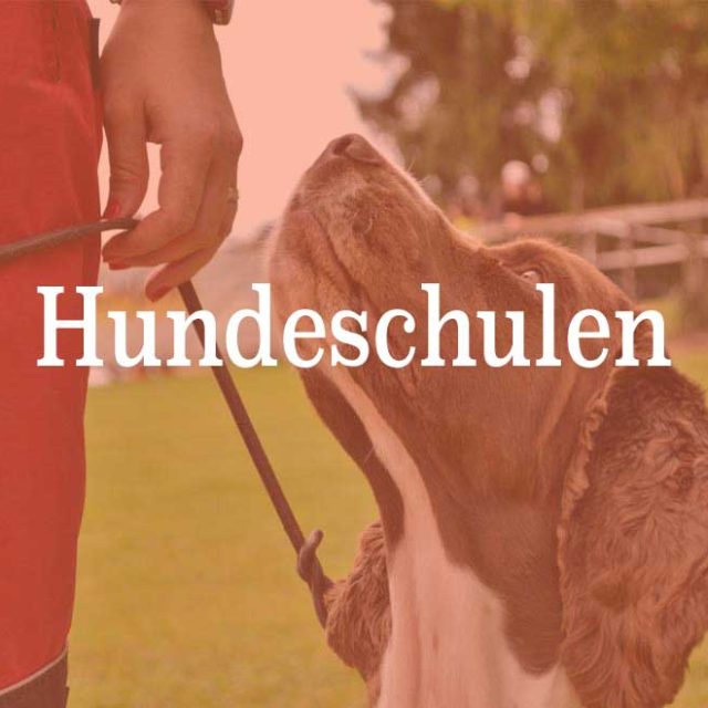 Hundeschulen