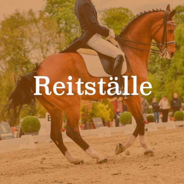 Reitställe