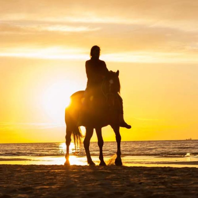 Reiturlaub
