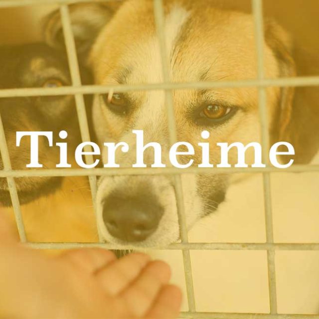 Tierheime