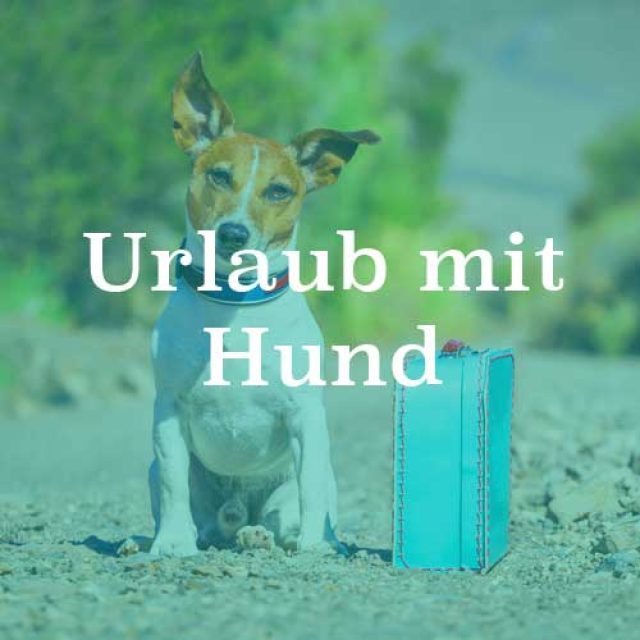 Urlaub mit Hund