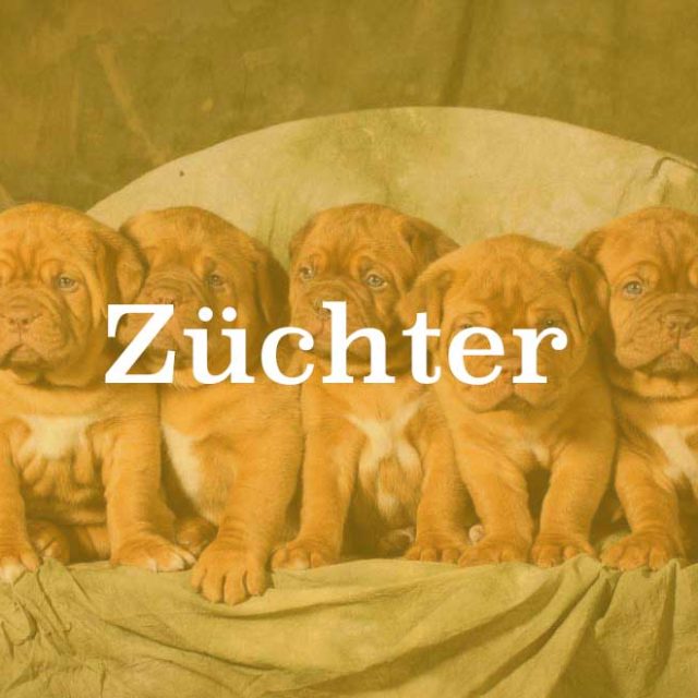 Züchter