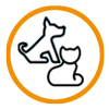 Hunde & Katzen
