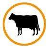 Nutztiere