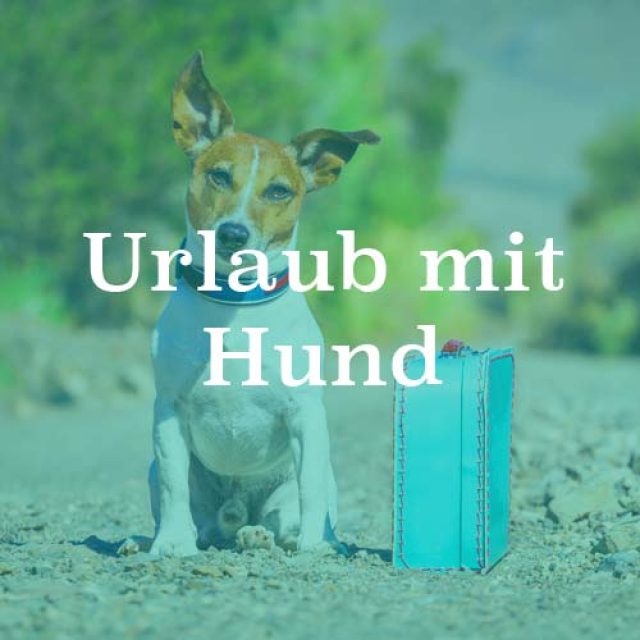 Urlaub mit Hund