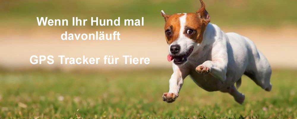 GPS Tracker für Tiere